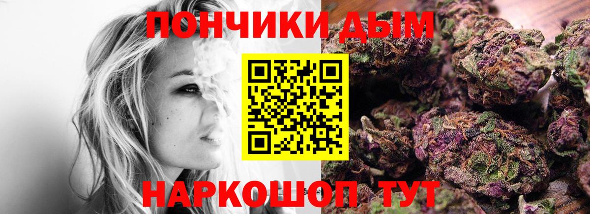 Бошки марихуана планчик  Марихуана сатива  Вход с VPN  Кудымкар  Бошки Шишки Amnesia  Канабис план 